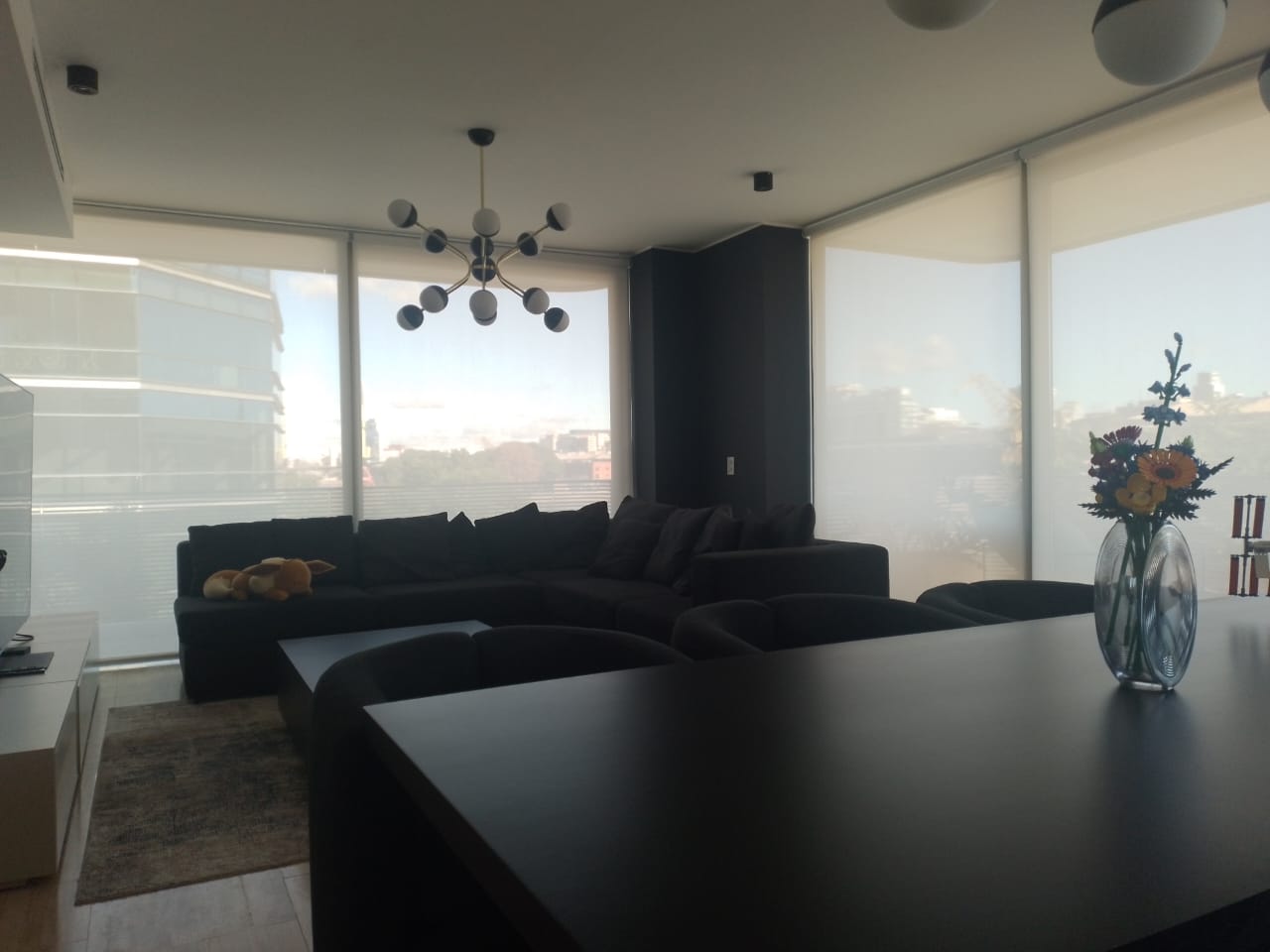 Cortinas Roller Sun Screen